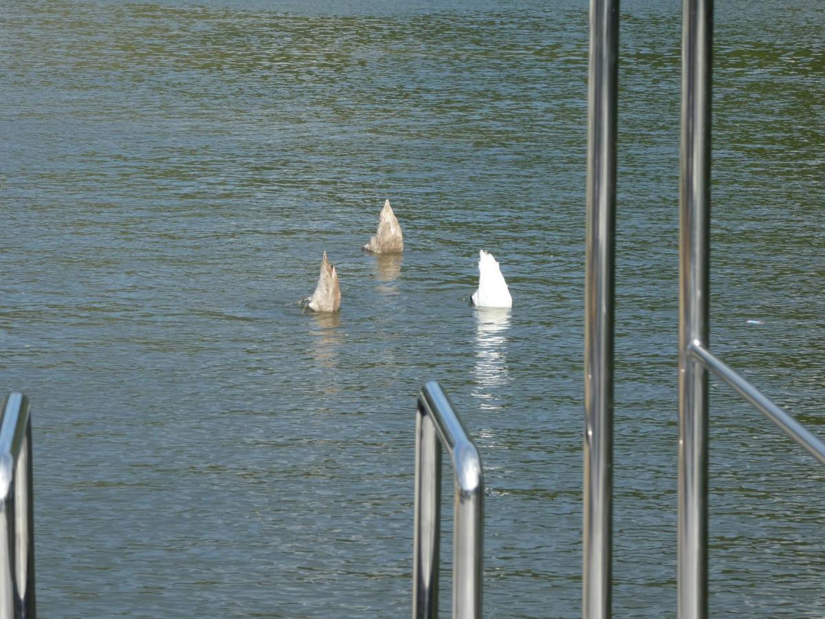 Hotel Hausboot Moselrose In Poelich Polich Exterior foto